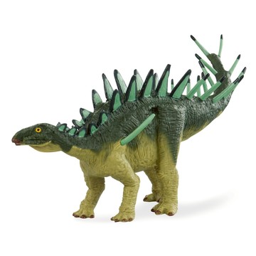 TERRA  銳龍_Dan LoRusso系列 (福利品出清)