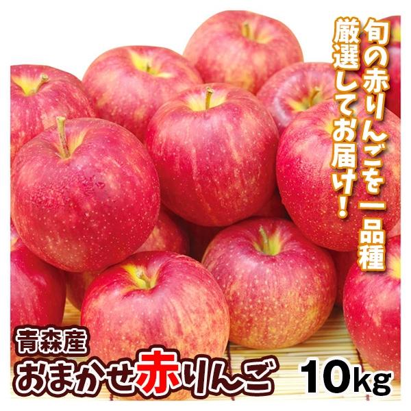 りんご 10kg おまかせ赤りんご 青森産 ご家庭用 送料無料 食品