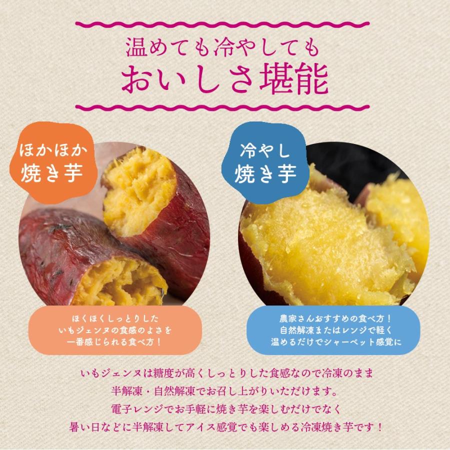 さつまいも さつま芋 薩摩芋 焼き芋 いも いもジェンヌ 新潟県産 1.5kg 4〜5本 長期熟成 グルメ (メーカー直送 代引き不可)