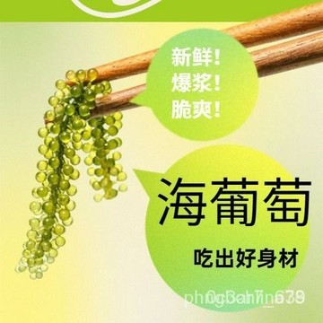 【抖音爆款】精美新鮮鹽漬海葡萄 100g/袋 卽食泡髮 綠色海葡萄