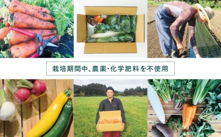 福元農園 旬のお野菜 おまかせセット 1箱（5～8品目）