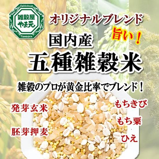 雑穀米 国産 送料無料 1kg 5種ブレンド 雑穀エキスパートが黄金比率ブレンド 安心の国内産雑穀使用