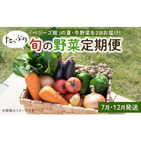 ふるさと納税 「ベジーズ館」の夏・冬野菜　年２回コース （7月と12月発送） 兵庫県相生市