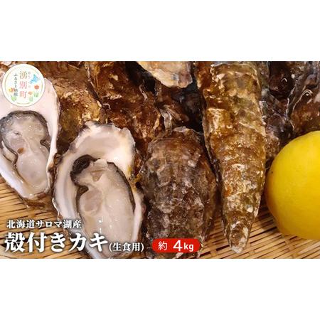 ふるさと納税 北海道 サロマ湖産 殻付き牡蠣 約4kg 生食用 北海道湧別町