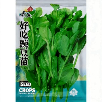 【原廠包裝】🌱豌豆苗種子（Pea Sprout Seeds）室內種菜 3-7天速收 免施肥 現採現吃 生菜沙拉 家庭農場