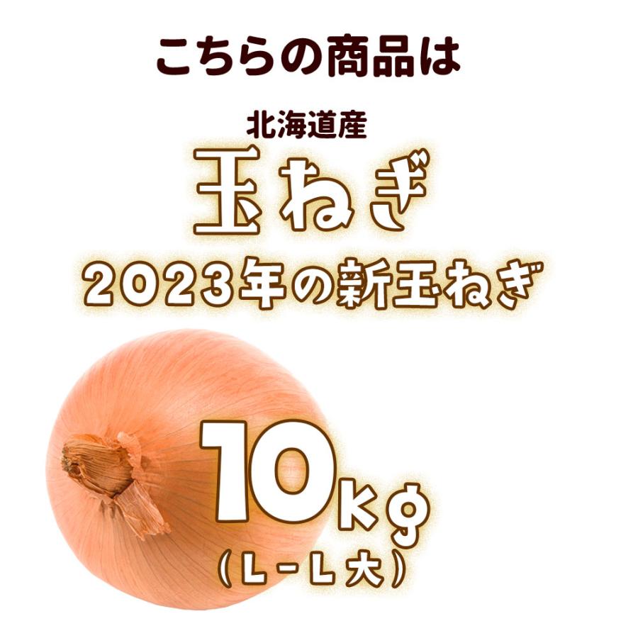 出荷中 北海道産 玉ねぎ L〜 L大 10kg  熨斗対応可｜送料無料 お歳暮 ギフト 北海道 お土産 産地直送 プレゼント 食べ物 グルメ