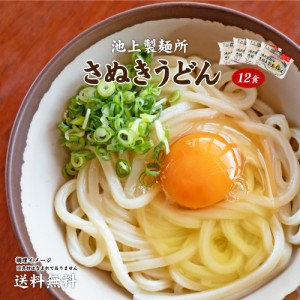 池上製麺所の釜玉うどん12食 送料無料 （北海道・沖縄・離島 1500円） ご当地セット 産直 福袋  贈答 お中元 夏 ギフト