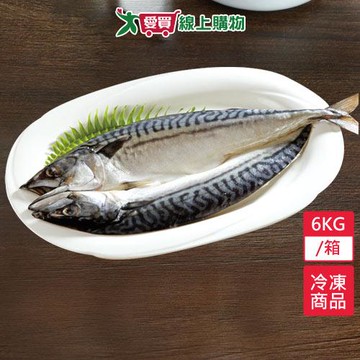 NG 鯖魚一夜干 6kg/箱(含箱重約5.5-6kg/箱)約13-20尾-200g~450g/尾【愛買冷凍】