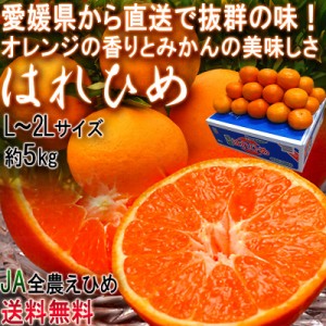 産地直送 はれひめ 約5kg L～2Lサイズ 愛媛県産 オレンジの香りに蜜柑の味わい！愛媛直送の新鮮なタンゴール