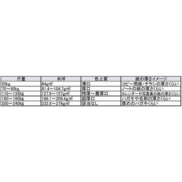 サーブル スノーホワイト B4 81.4g 70kg 500枚 代引不可