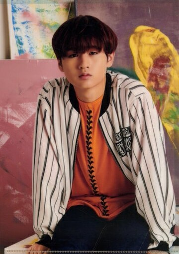 豬狩蒼彌(HiHi Jets)A4文件夾JohnnysISLAND STORE