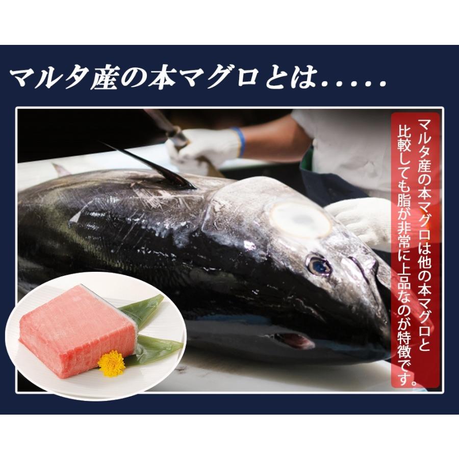 まぐろ 本マグロ 中トロ 500g 刺身 マグロ 鮪 本まぐろ トロ メーカー直送 shr-020