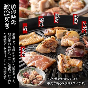 おおいた 冠地どり 厳選部位 6種 食べ比べ 特製 塩麹もみだれ 焼肉セット (合計600g・6種×各100g) 国産 大分県産 鶏肉 もも 砂肝 羽衣 軟骨 皮 レバー 小分け 冷凍 おつまみ 詰め合わせ 