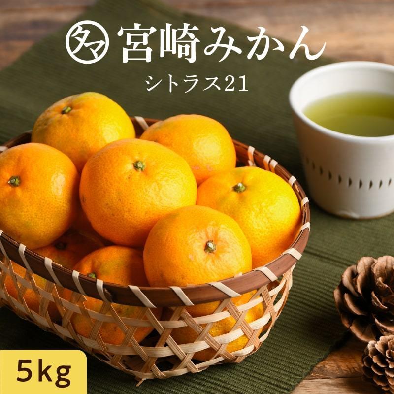 みかん 5kg シトラス21 宮崎産 産地直送 南国 家庭用 くだもの 果物 フルーツ 送料無料