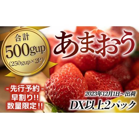 ふるさと納税 MZ038福岡県産 あまおうDX以上 500g 2パック 先行予約 2023年12月1日〜12月30日に順次発送  福岡県篠栗町