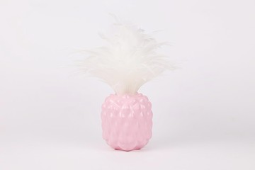 鳳梨好彩頭 - 旺旺夢幻粉 / 可更換羽毛、喬遷之喜、新居落成