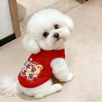 臺灣熱賣狗狗衣服秋冬裝保暖泰迪比熊博美小狗防掉毛寵物貓咪過年招財衛衣XUF