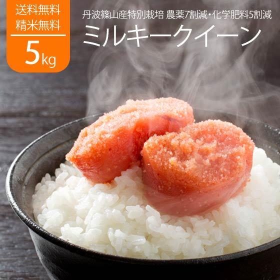 丹波 ミルキークイーン 米5kg 特別栽培米 農薬7割減 化学肥料5割減 令和5年 丹波篠山 兵庫県