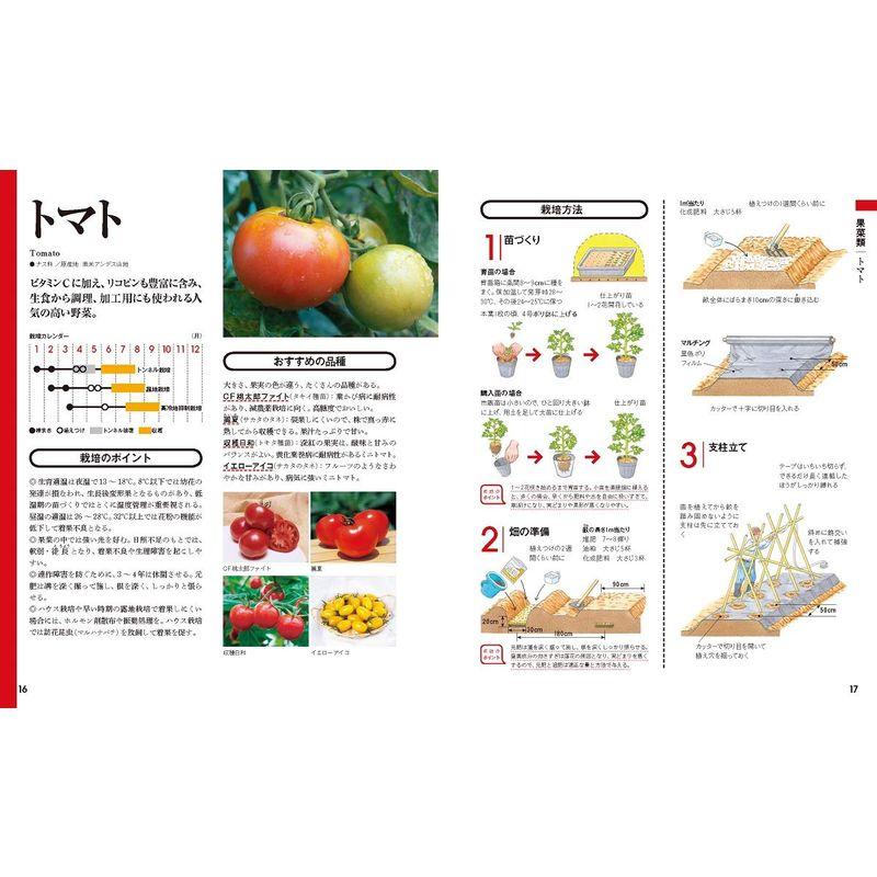 決定版 野菜づくり大百科