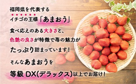 MZ038福岡県産 あまおうDX以上 500g 2パック 先行予約 2023年12月1日～12月30日に順次発送