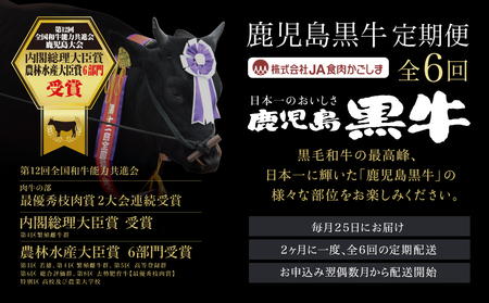 鹿児島黒牛定期便（全6回） 和牛日本一の「鹿児島黒牛」お肉 ステーキ すき焼き しゃぶしゃぶ グルメ お取り寄せ 国産 黒毛和牛 牛肉 定期便