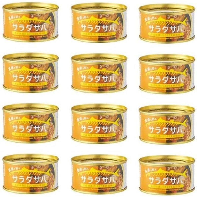 サラダ サバ 油漬け こくうま みそ 味 １缶 固形量 110ｇ 総量 170ｇ 12缶セット 簡易梱包