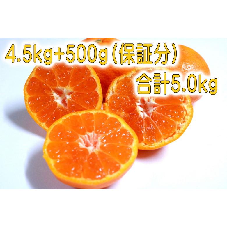 「訳あり」早世みかん濃厚な甘さと爽やかな香り 「早世みかん」4.5kg 500g（保証分）合計約5kg 　送料無料（ S〜2L （サイズ混合　無選別）熊本県産天草産