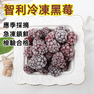 智利冷凍黑莓 1kg/包 檢驗合格 無須清洗 鮮凍水果 冷凍水果蔬果 綜合莓果飲 冷凍藍莓 蔓越莓 冷凍超取