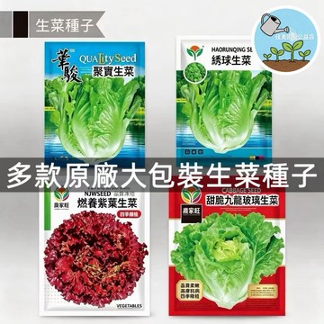 【原廠包裝】台灣蝦皮熱銷！多款生菜種子任選，奶油生菜/繡球/盆栽/聚寶/大速生菜 發芽率高，居家輕鬆種，新鮮現採安心吃
