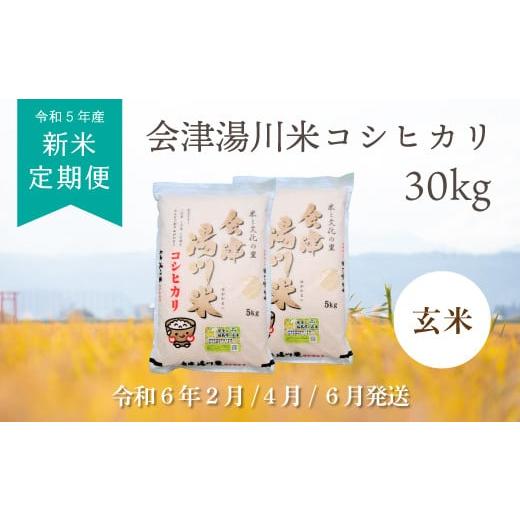 ふるさと納税 福島県 湯川村 48≪令和5年度 新米≫湯川村産コシヒカリ　玄米30kg(2月4月6月)