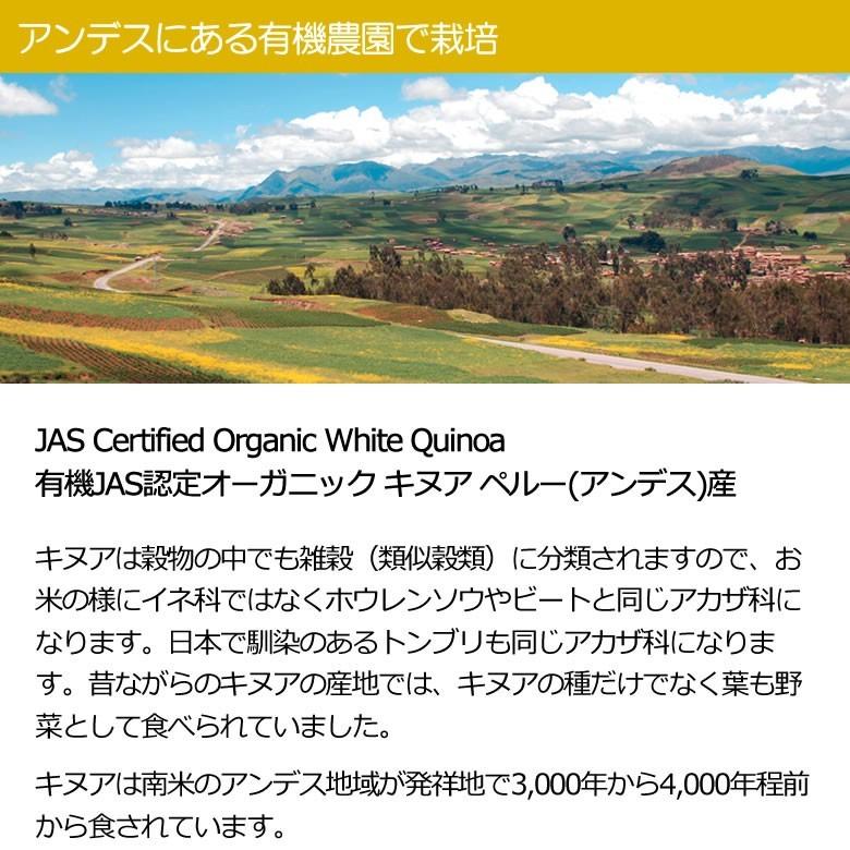 有機キヌアパウダー キヌア粉 500g 2袋 ペルー産 有機JASオーガニック グルテンフリー