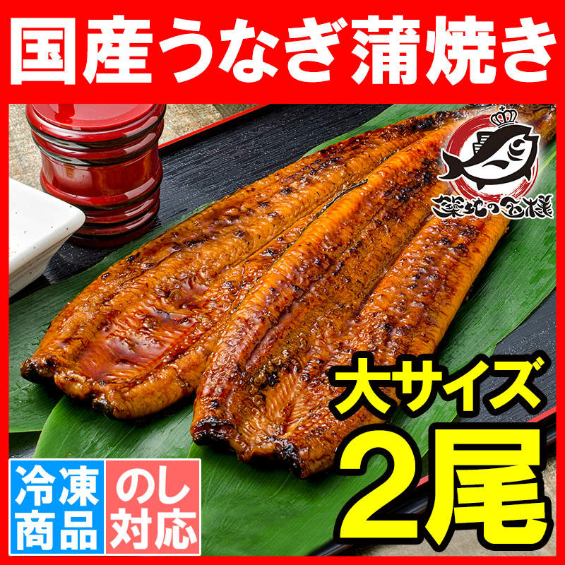 国産うなぎ蒲焼き 大サイズ 平均165g前後×2尾