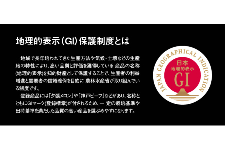 GI「東根さくらんぼ」佐藤錦1kgバラ詰め(500g×2ﾊﾟｯｸ） 東根農産センター提供　hi027-085