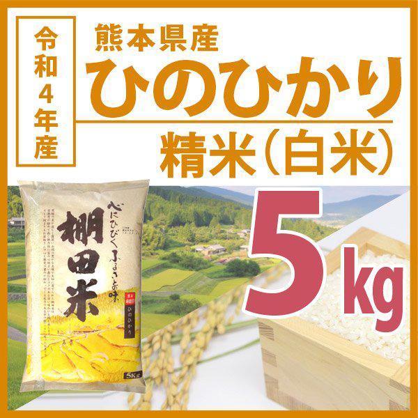 棚田米 令和5年産 熊本県ひのひかり精米 5kg