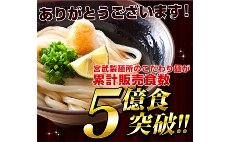 丸亀からお届け！元祖さぬきゆでうどん  20人前