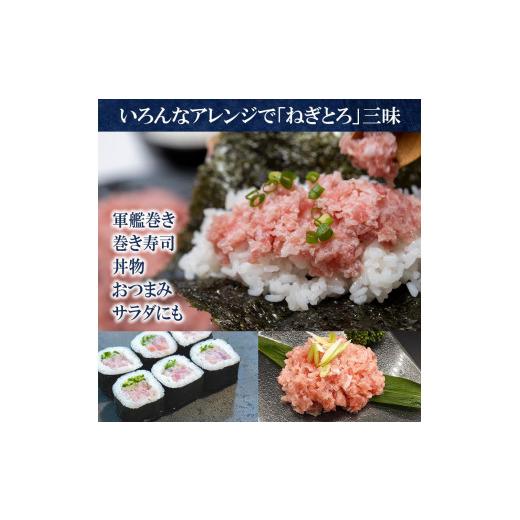 ふるさと納税 愛知県 名古屋市 ねぎとろ1kg（500ｇ×2袋詰め合わせ）