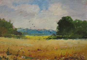 Field landscape, Field painting, Summer evening landscape