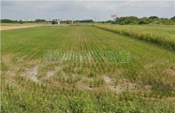 安定區段徵收旁都農｜台南市安定區安定