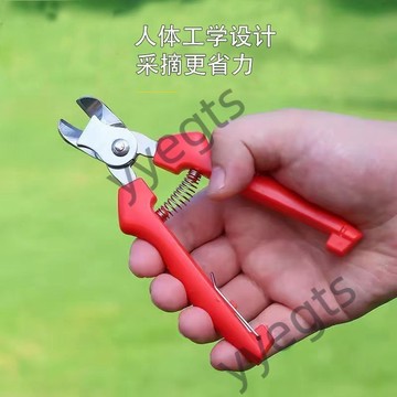 【臺灣優選】 不鏽鋼窩型摘果剪番茄蘋果專用剪橘子採摘剪水果果柄凹形修枝剪刀 品質讚4・21