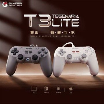 GAMESIR 蓋世小雞 T3 Lite 靈狐 有線手把 遊戲手把-簡韻白
