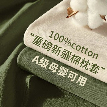 ✨限時特價&免運促銷🌟 夏季純棉枕套一對裝100全棉枕頭套單人家用兒童枕芯內膽套ins