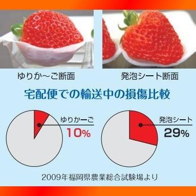 まりひめ ギフト用 400g×1箱 和歌山県産 いちご 紀のベリー