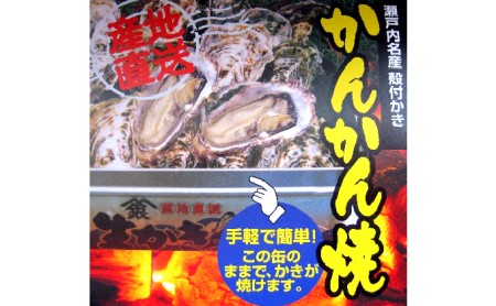 牡蠣  2024年先行予約 かんかん焼（殻付き大つぶ 牡蠣 20個） 山銀商店 瀬戸内海虫明湾産