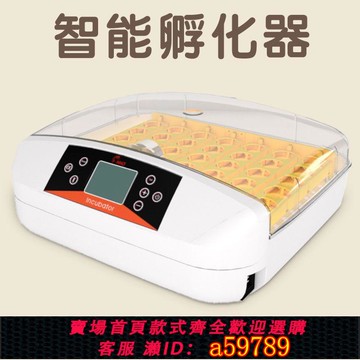 【台灣公司 可打統編】WONEGG家用孵化機蘆丁雞養殖孵蛋器設備鸚鵡雞鴨鳥類智能孵化器