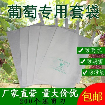 ⚡台灣出貨⚡葡萄袋套袋專用袋葡萄套袋半透明防蟲防鳥防雨水保護水果通用加厚