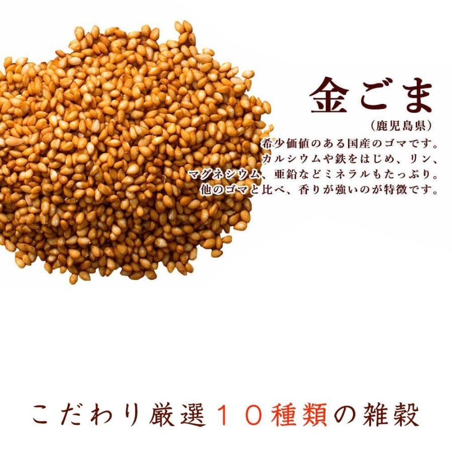 雑穀 雑穀米 国産 胡麻香る十穀米 4.5kg(450g×10袋) 送料無料