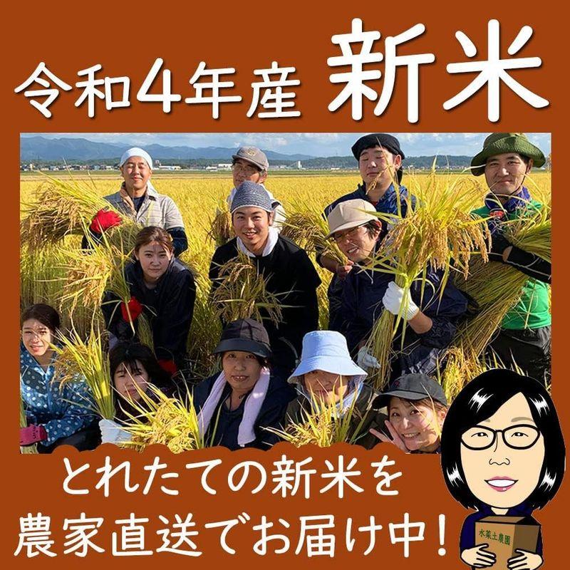 水菜土農園精米令和4年産 秋田県産 あきたこまち 5kg 古代米お試し袋付き