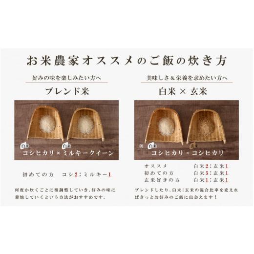 ふるさと納税 福井県 坂井市 福井県産 ミルキークイーン 1.5kg × 2袋 計3kg (玄米) 〜化学肥料にたよらない100%の有機肥料〜…