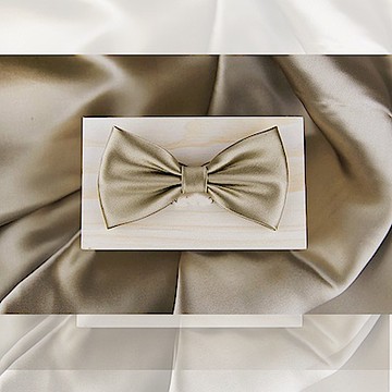 拉福  亮面新郎結婚領結糾糾(兒童香檳)