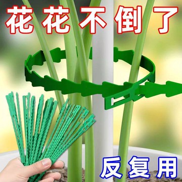 【可開收據】園藝綁藤植物固定 可調節魚骨紮帶 捆綁線多用途園林專用 扎線綁枝機 TYSS